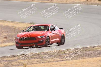 media/Oct-25-2025-West Coast Racing (Sat) [[9fdcbcd09c]]/Novice group/Turn 2/